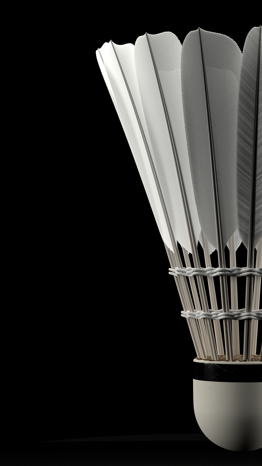 他的原因 他的原因